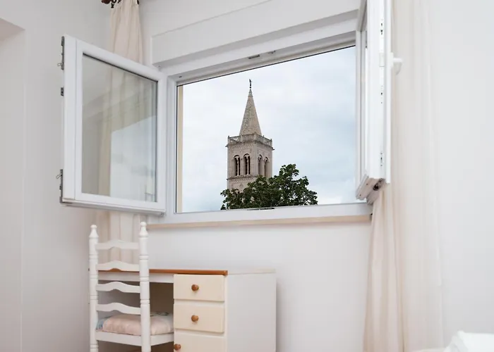 Odak شقة زادار